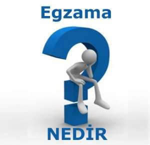 Egzama Nedir?